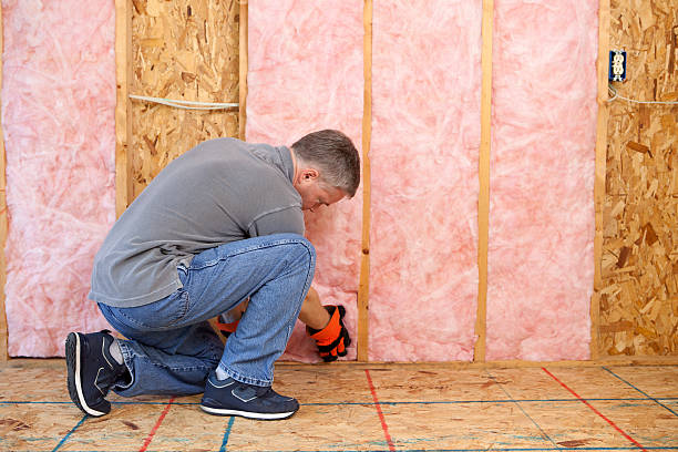 Best Local Insulation Services  in Mked Tree, AR