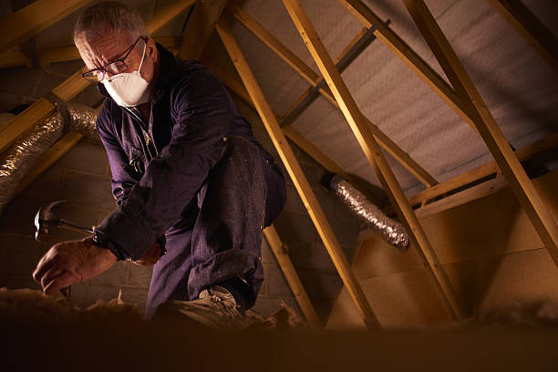 Best Commercial Insulation Contractor  in Mked Tree, AR